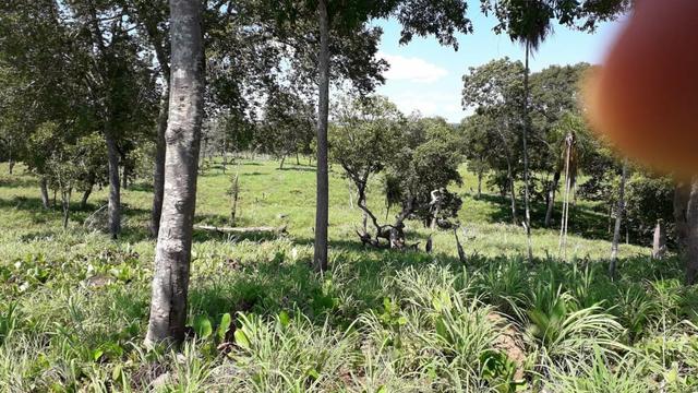 Chácara no município de Cariri do Tocantins - Foto 11