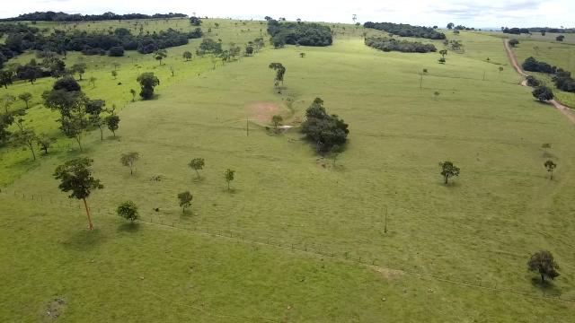 Fazenda 20 alqueires em Piracanjuba - Foto 4