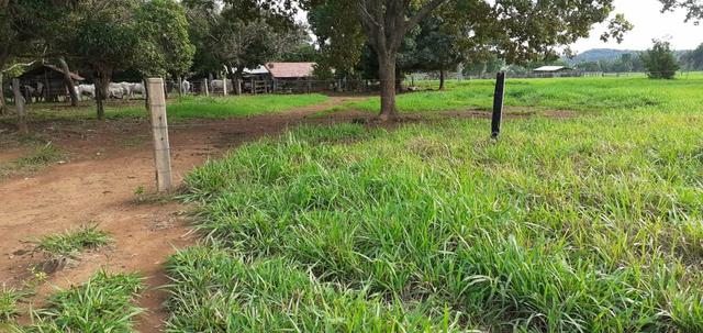 Fazenda - Foto 2