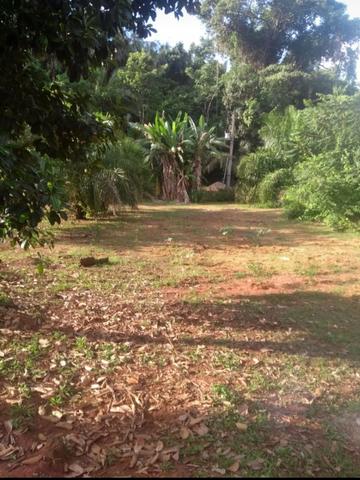 Chácara em Taquaruçu - Foto 3