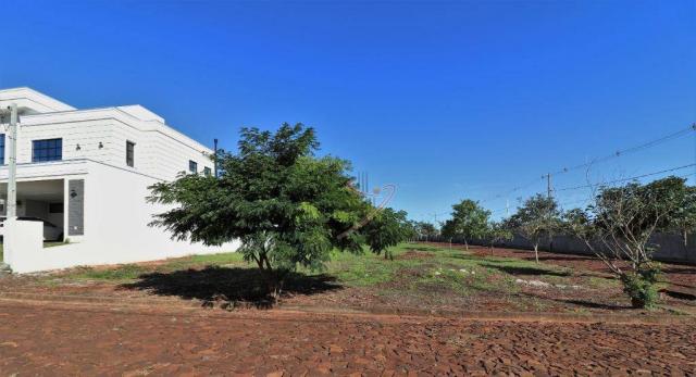Terreno à venda, 600 m² por R$ 140.000,00 - Cond. Rose Garden - Foz do Iguaçu/PR - Foto 2