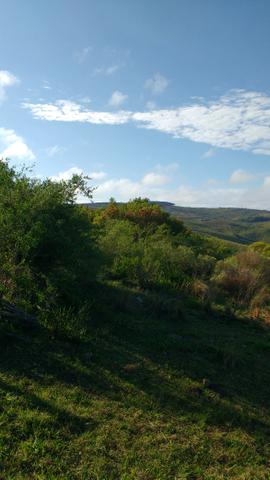90 hectares de campo barato