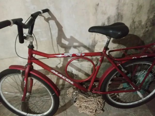 Bicicleta de criança e uma monarca 