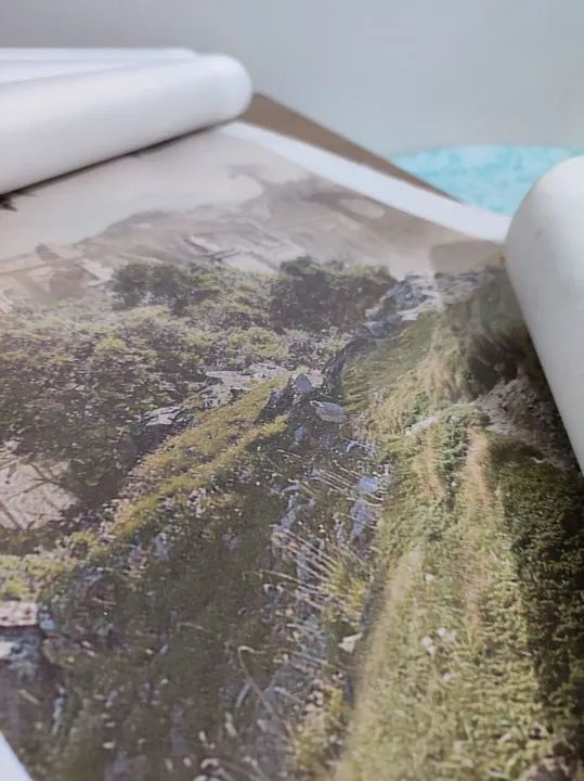 The Elder Scrolls - Quadro Decorativo 5 Peças (Elsweyr) - Foto 3