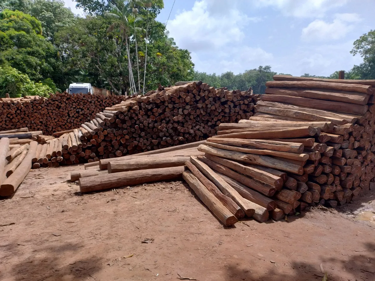 ESTACAS DE ACAPÚ