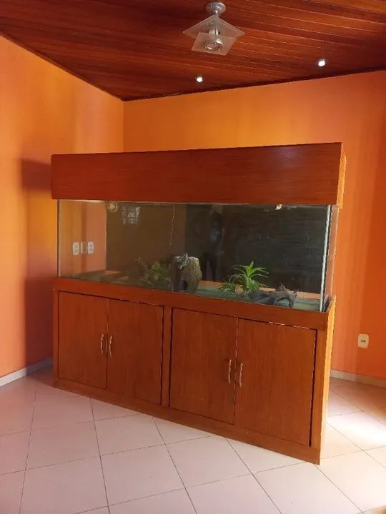 Aquário com móvel e decoração semi completo