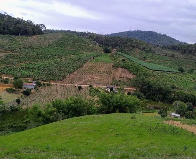 Oportunidade Única de Investimento: Terreno à Venda em Perobas, Domingos Martins! - Foto 8