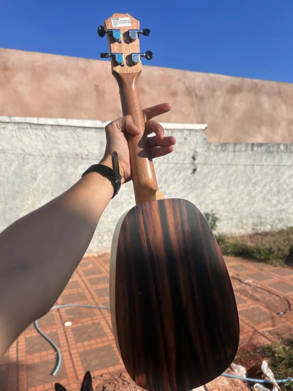 Ukulele seizi pineaple