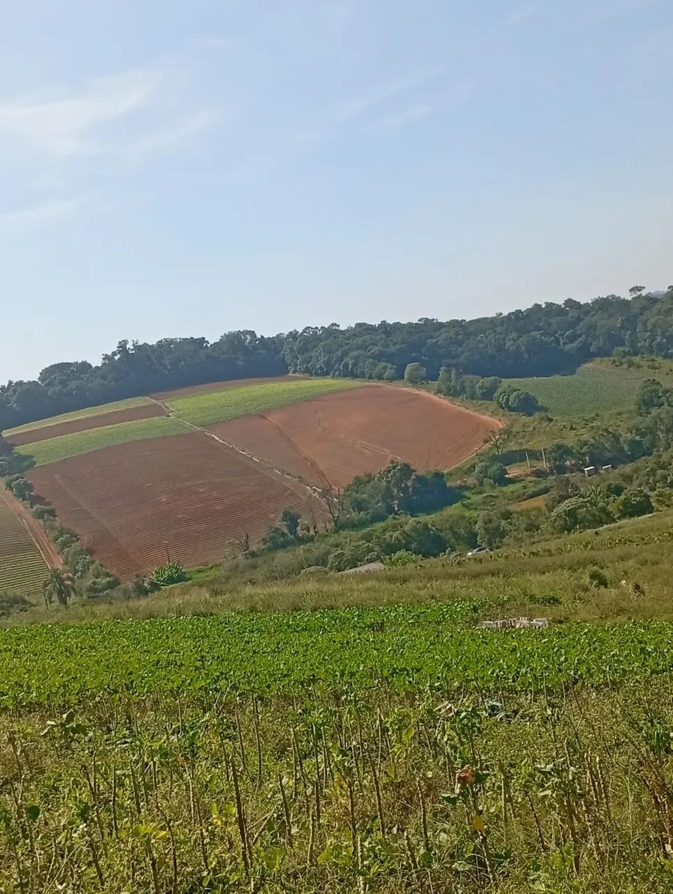 Terrenos com Preço Justo e Muito Potencial - Foto 3