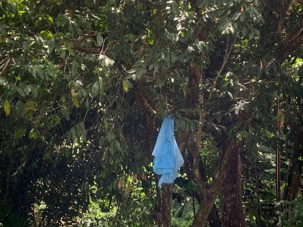 Foto - Jaboatão dos Guararapes - Cajueiro Seco
