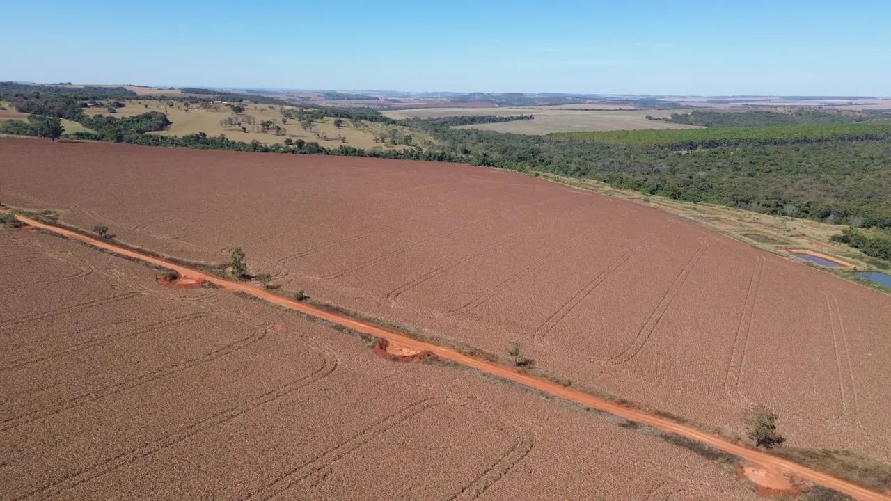 Fazenda 20 alqueires Gameleira-Go