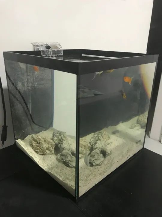 Aquário Cubo 27 Litros