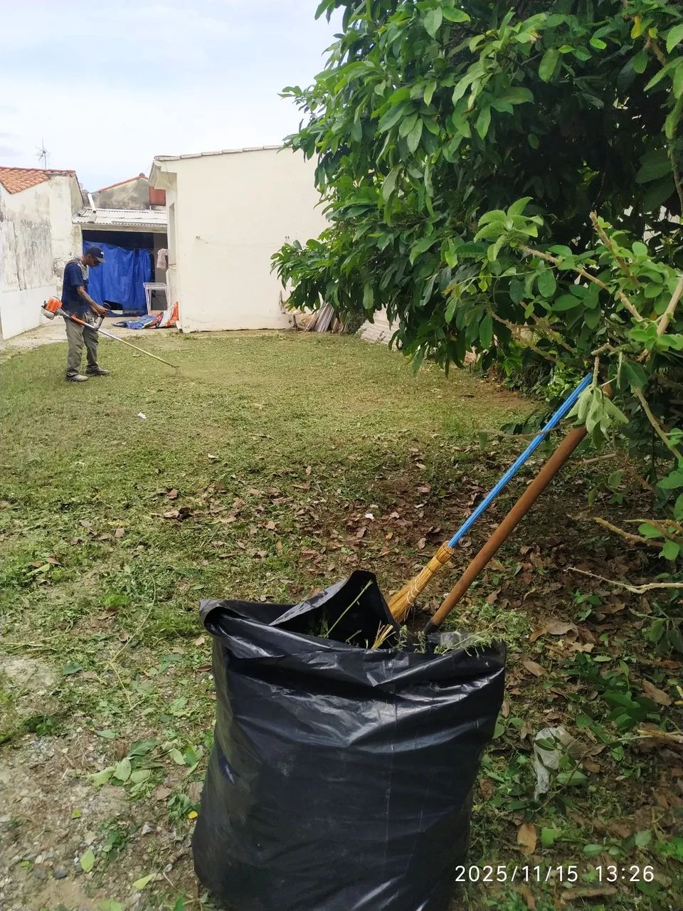 E então vai deixar seu terreno sujo???? 