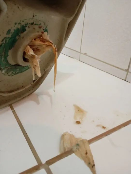 Desentupidora  - Foto 2