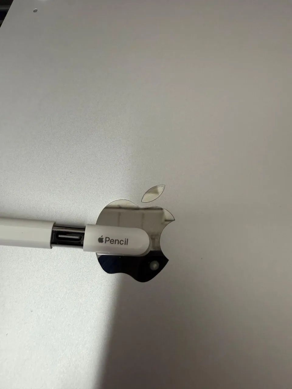 iPad 63824106610817124