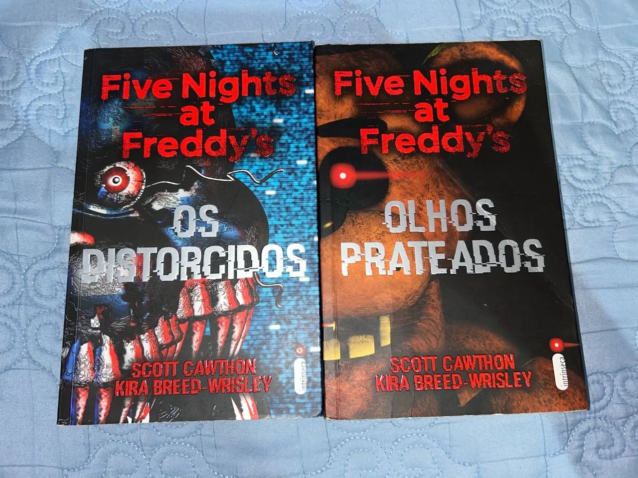 Livros Variados em Ótimo Estado - FNAF, Bridgerton, Warren e mais! - Foto 5