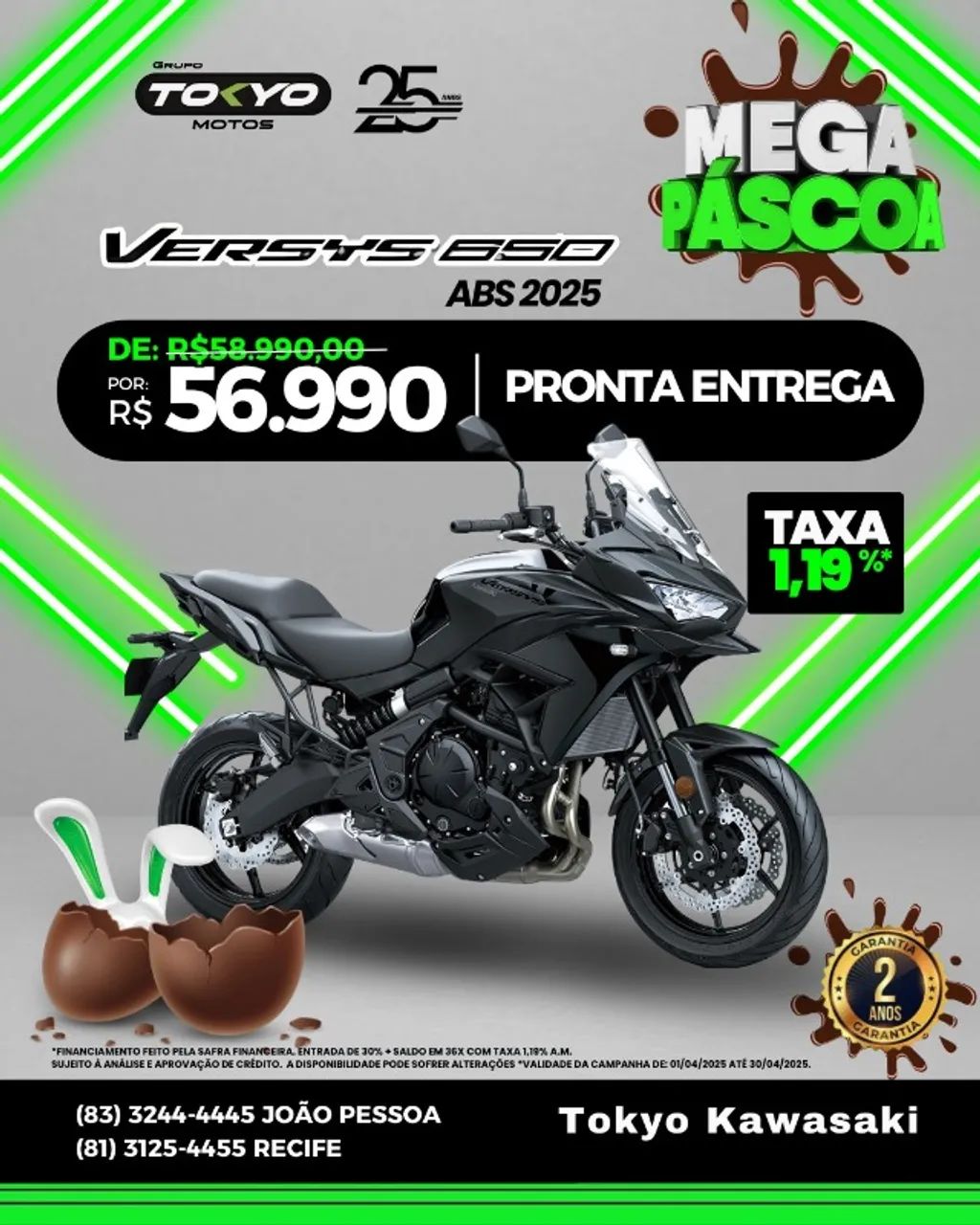 *Kawasaki Versys 650 ABS 2025*