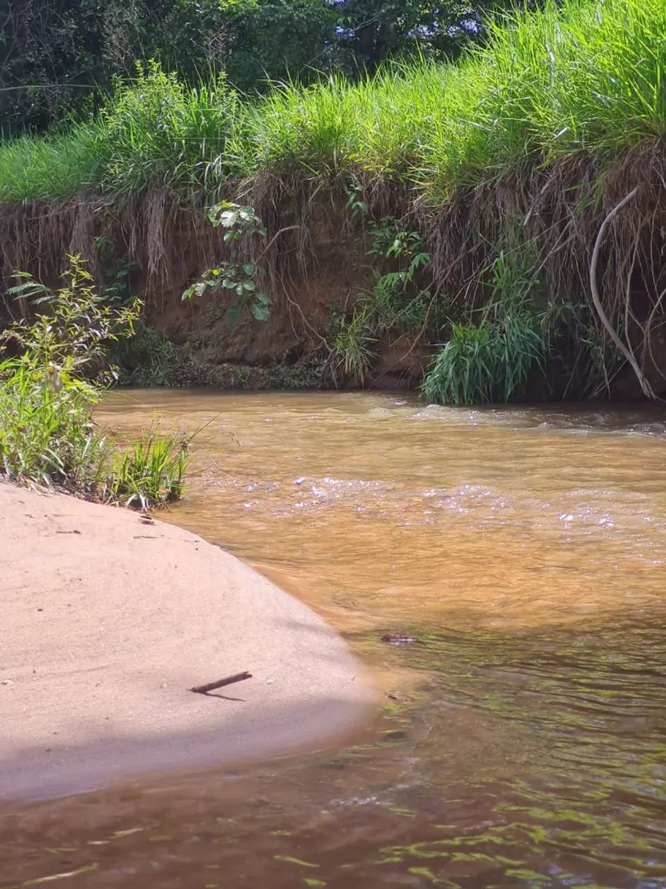 Vende -se. Chácara de 1 alqueire e 5 litros  - Foto 5