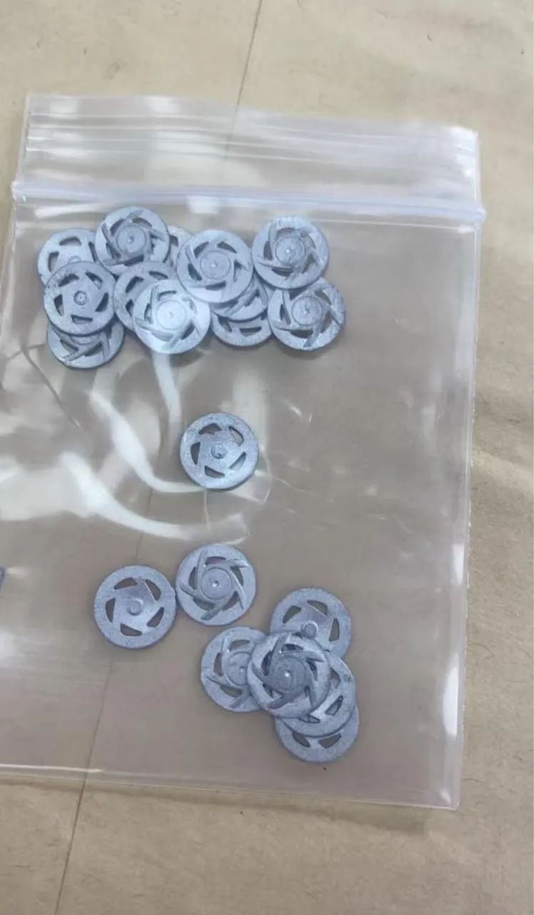 Tampa sensor citizen 