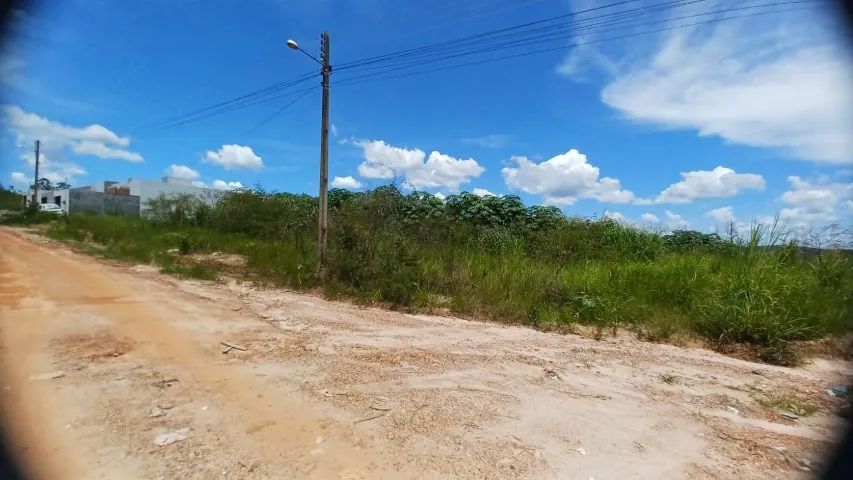 Lotes Setor Universitário Caldas Novas - Foto 3