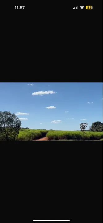Fazenda pra investir Ituiutaba  - Foto 5