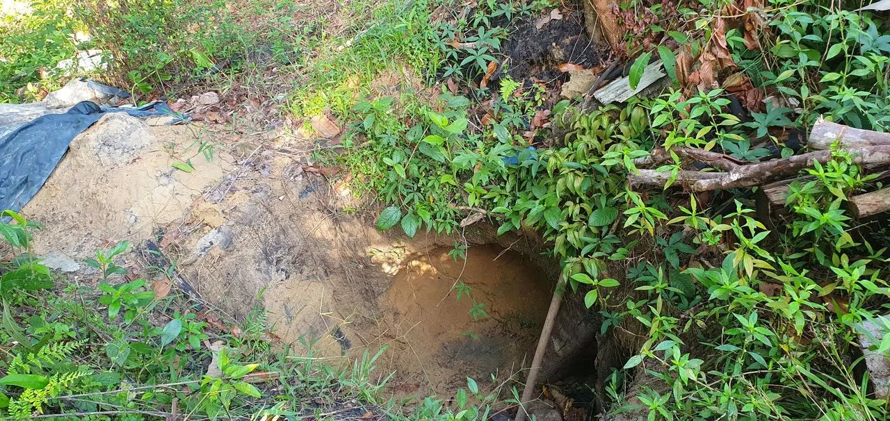 VENDO SÍTIO EM STA BÁRBARA  - Foto 7