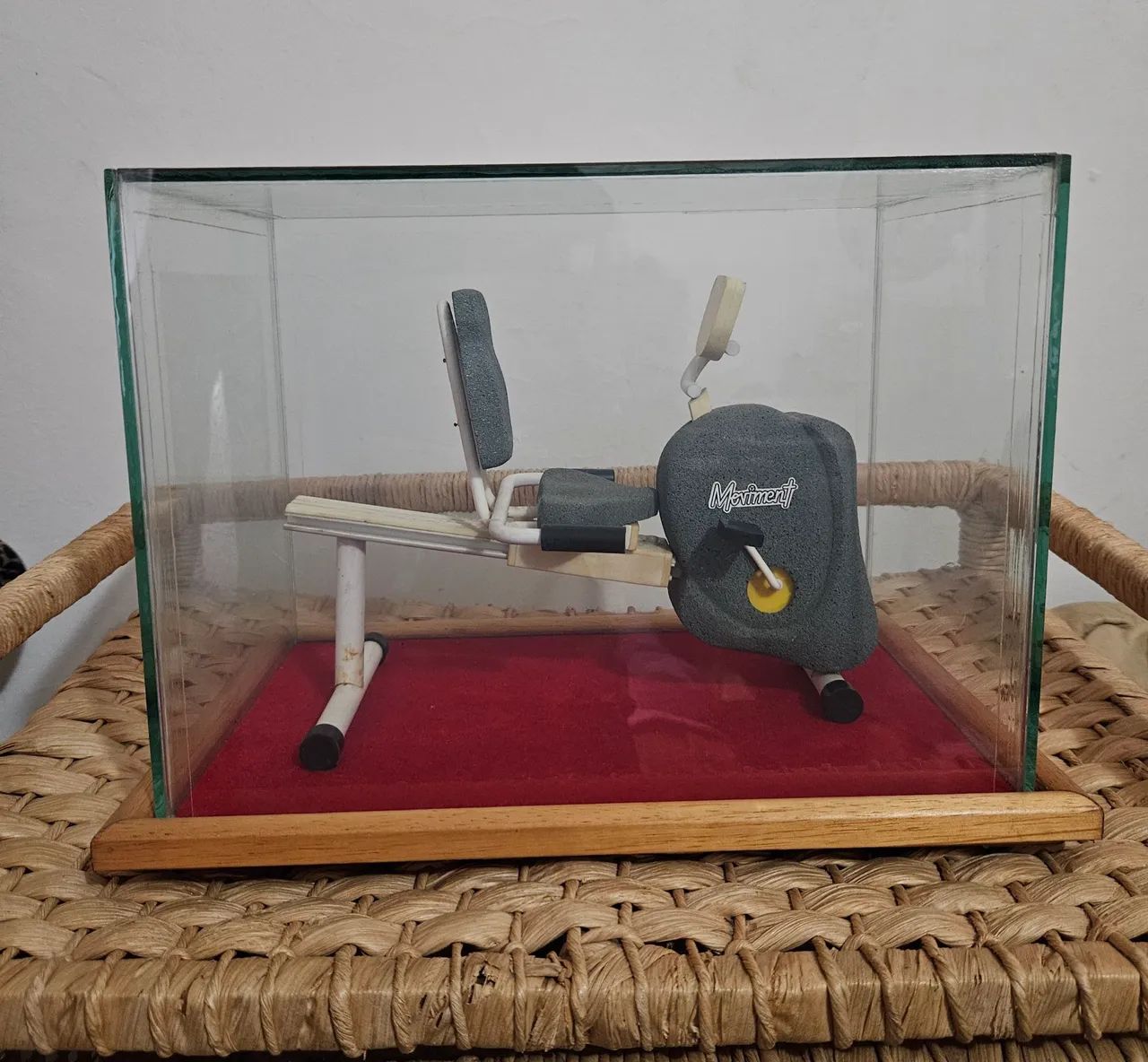 Miniatura de Bicicleta de Academia!!!