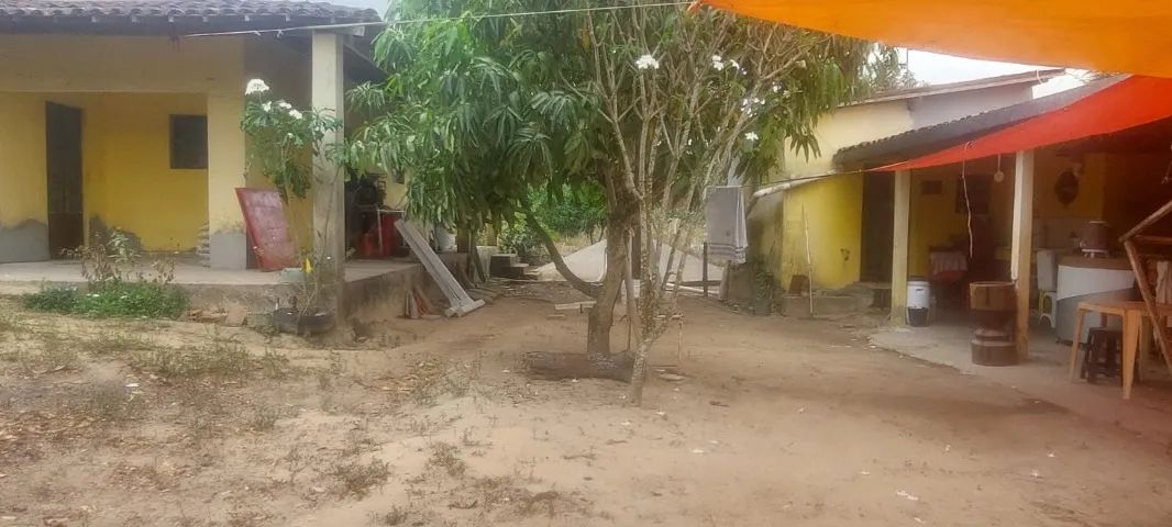 Chácara em Agrestina/PE à Venda (CH0054-DV) - Foto 5