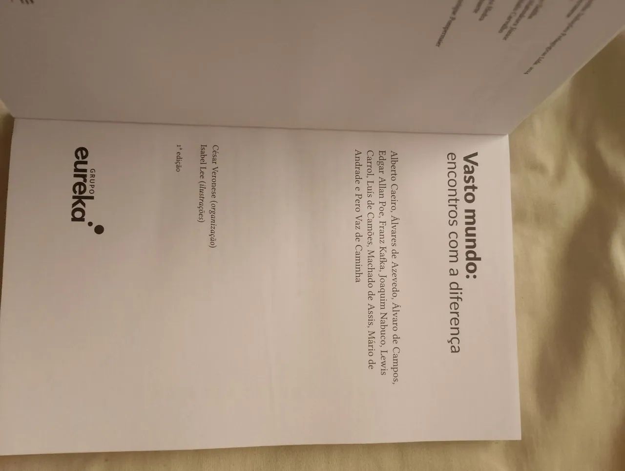 Visto Mundo encontro com as diferenças  - Foto 3