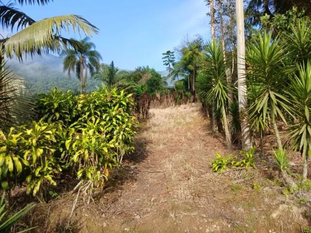 Sitio com 20,000,00m2 - Foto 2