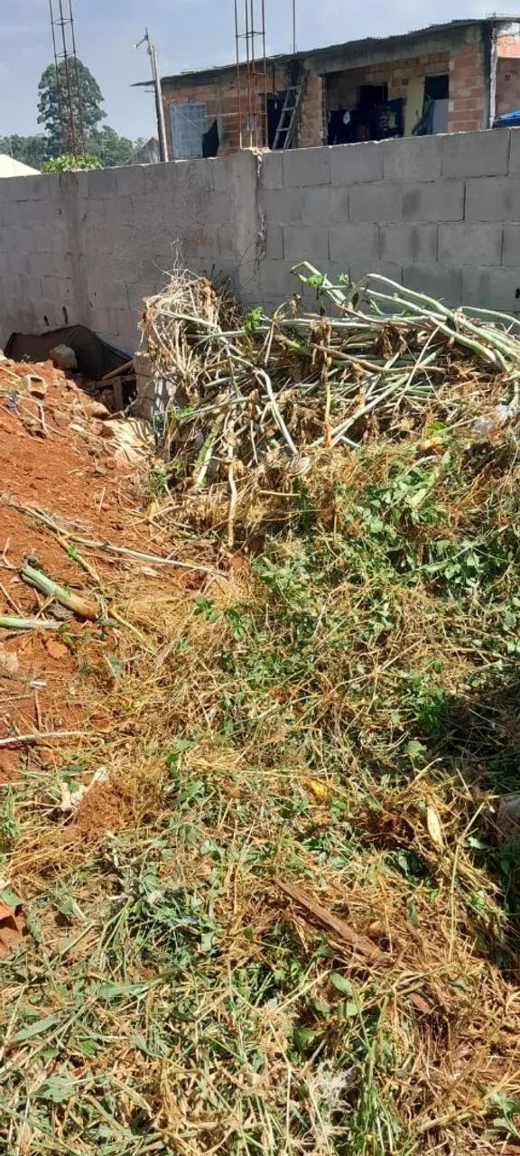 Terreno pra venda Casa Branca  - Foto 5