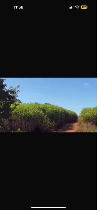 Fazenda pra investir Ituiutaba 