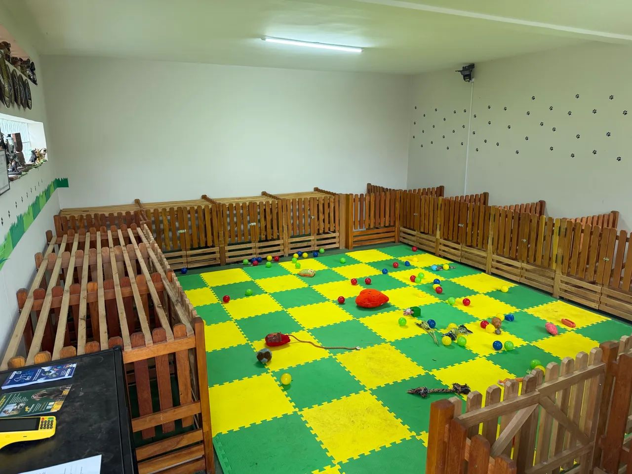 Hotel, creche e centro de treinamento de cães - Foto 5