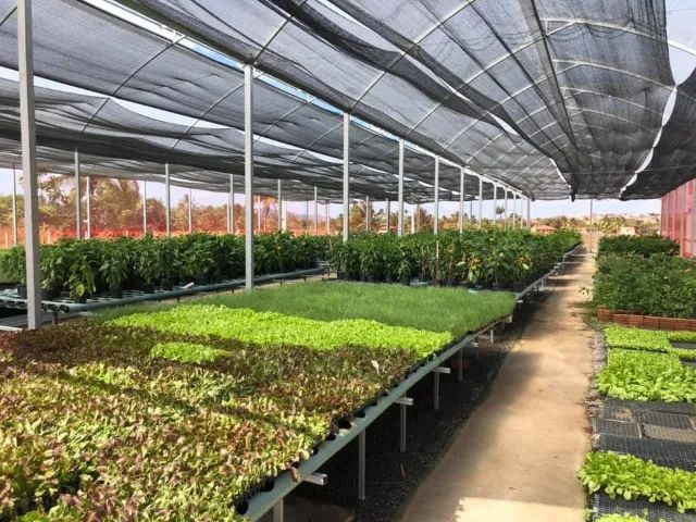 Tela Sombreamento Preta 30% 3,0m X 100m Proteção Cobertura - Foto 3