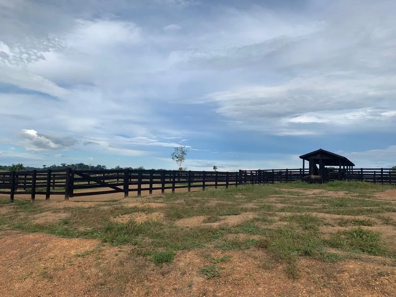 FAZENDA A VENDA EM CAROEBE RR - Foto 3