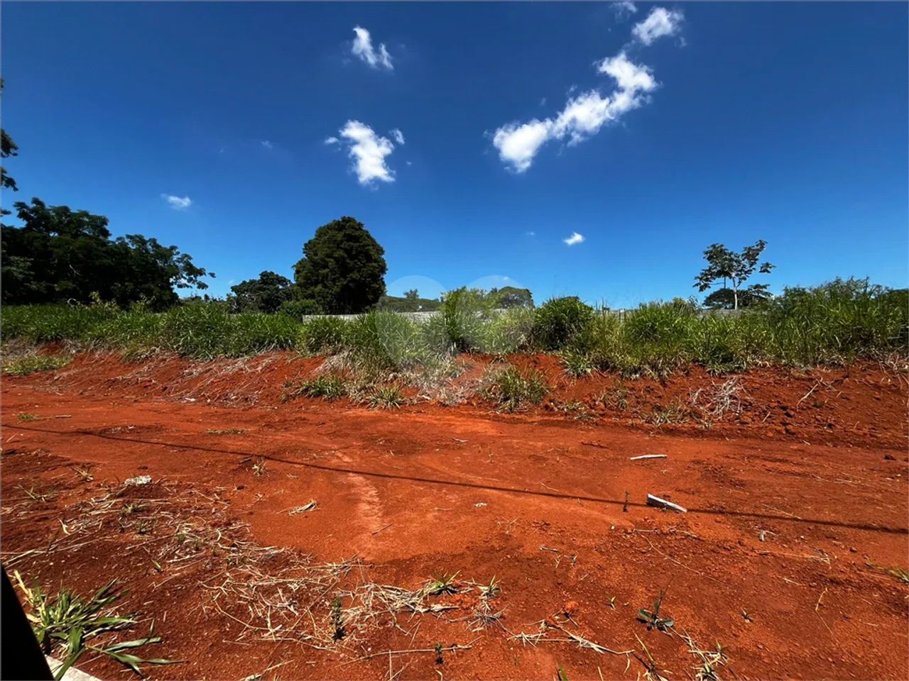 Loteamento à venda em Vila la brunetti - SP - Foto 5