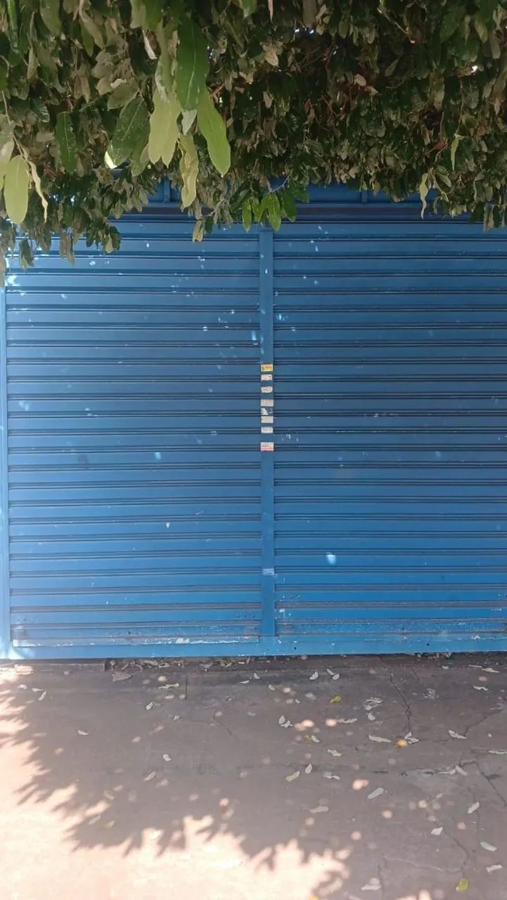 Banca  - Foto 2