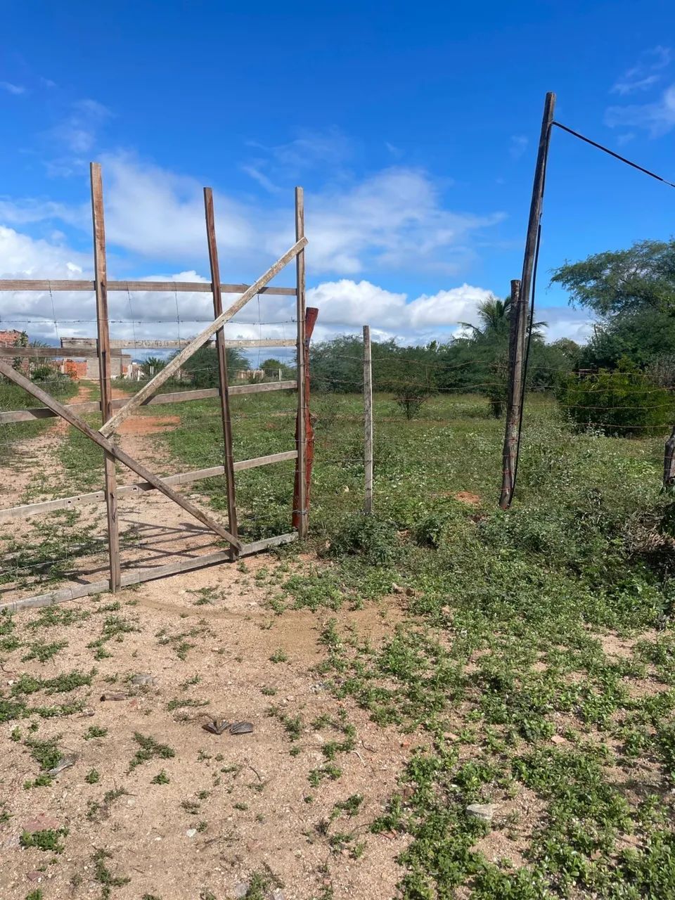 Terreno - Foto 2