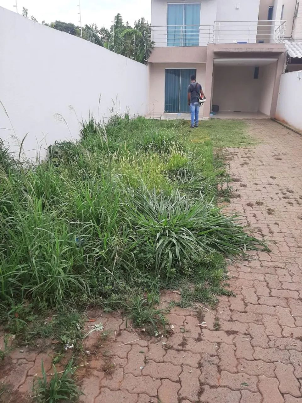 JARDINEIRO / JARDINAGEM  - Foto 2
