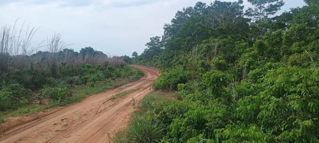Fazenda Tocantins Dupla Aptidão Bruta, 406 Hectares - Foto 5