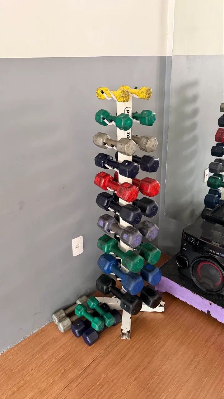 VENDO TORRE DE HALTERES 