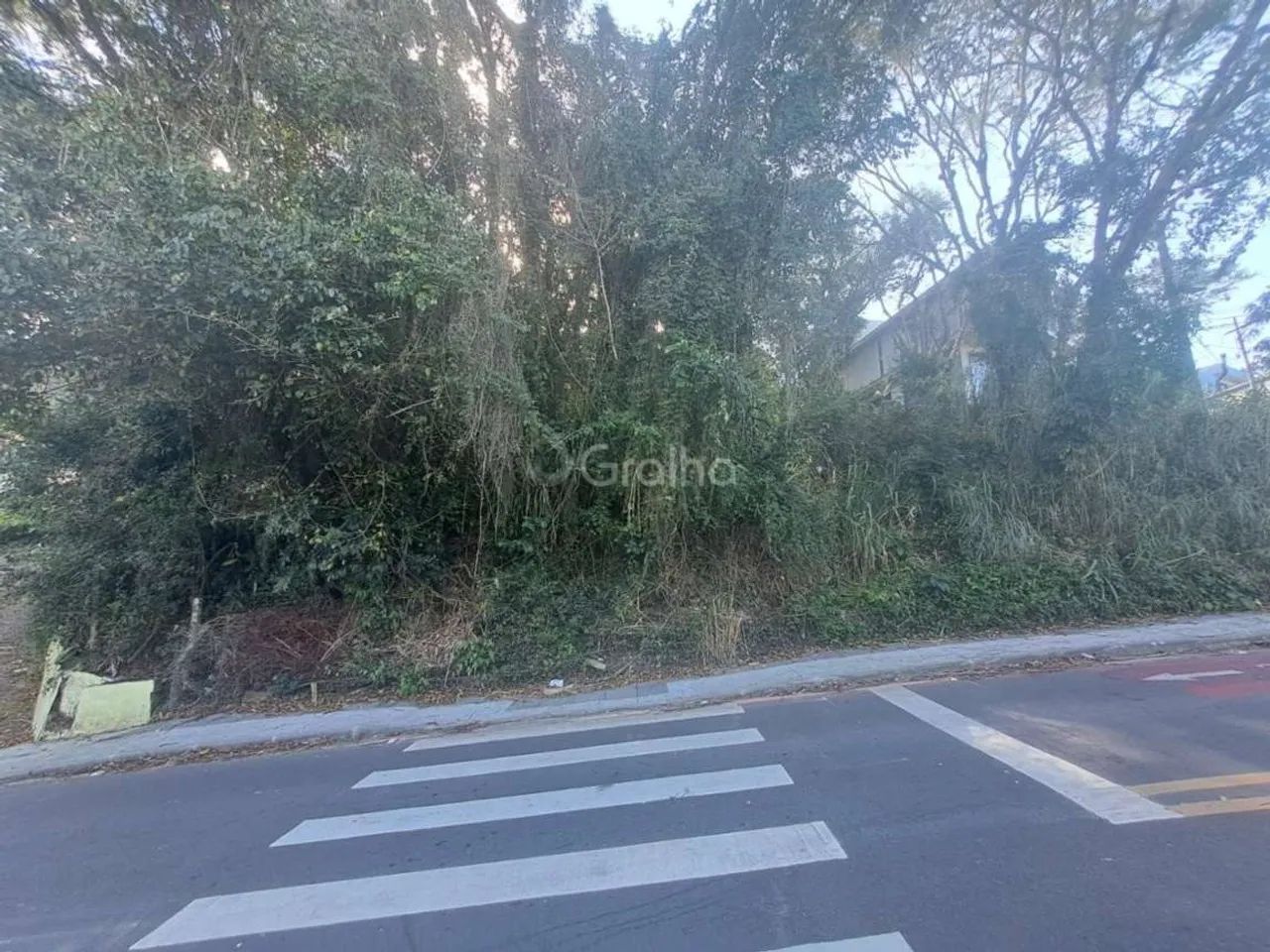 Terreno para Venda em Florianópolis, Canto da Lagoa - Foto 3