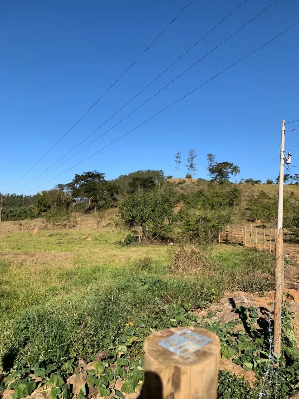 Granja no Piau divisa com Goianá  - Foto 5
