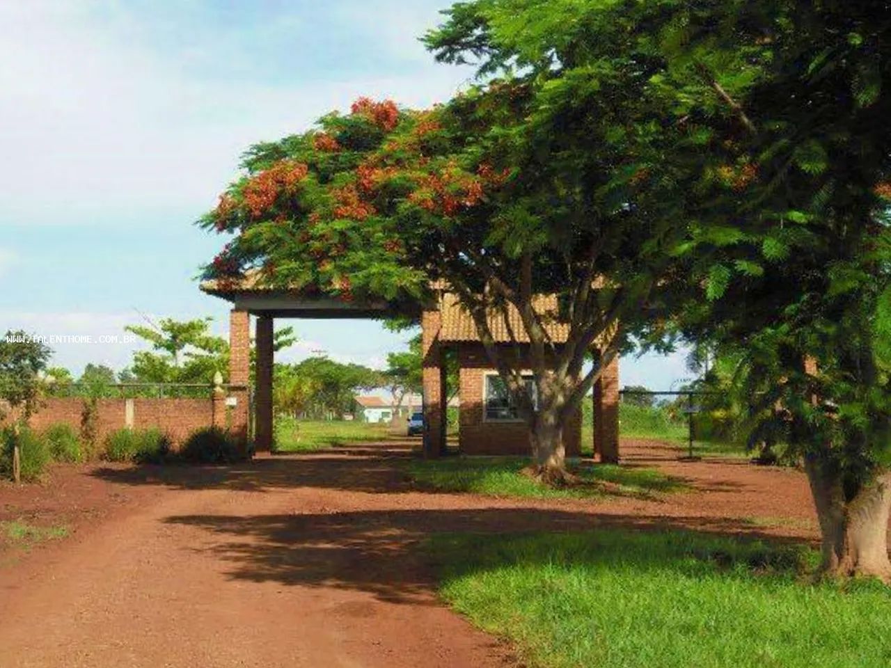 Terreno para Venda em Sertanópolis - Foto 4