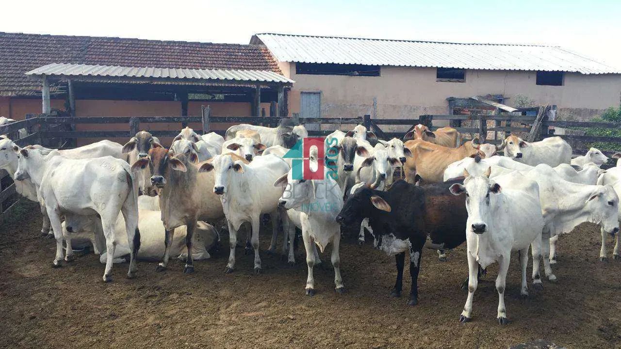 Araruama | Fazenda 2 quartos