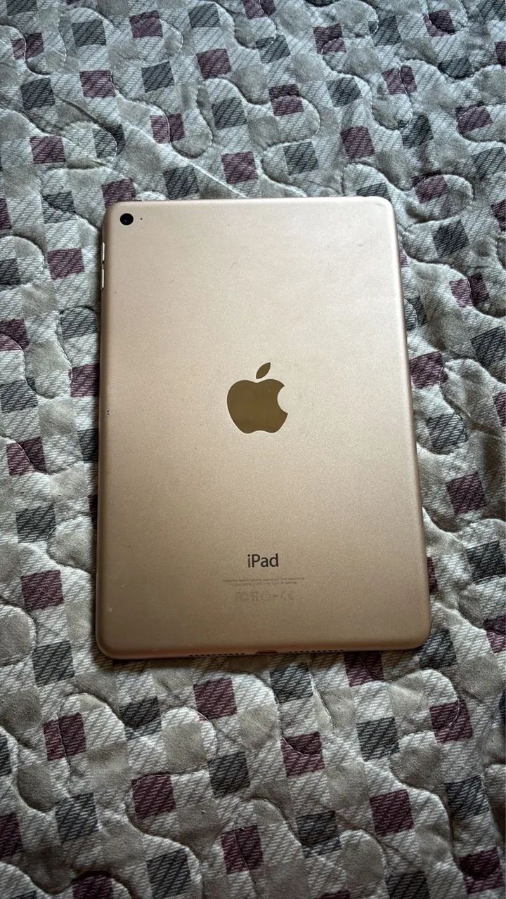 ipad mini 4 4g