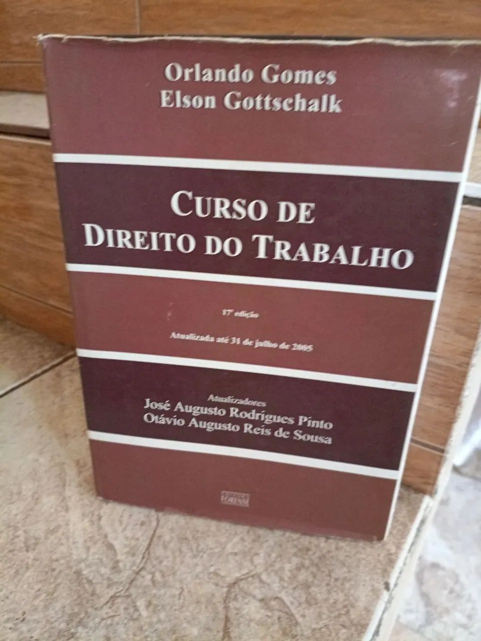 Curso de direito do trabalho 