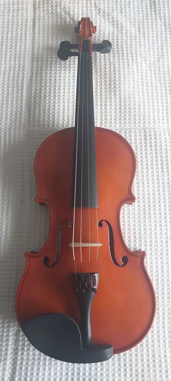 VIOLINO GIANNINI 4/4 (2011) Completo + Case - Foto 3