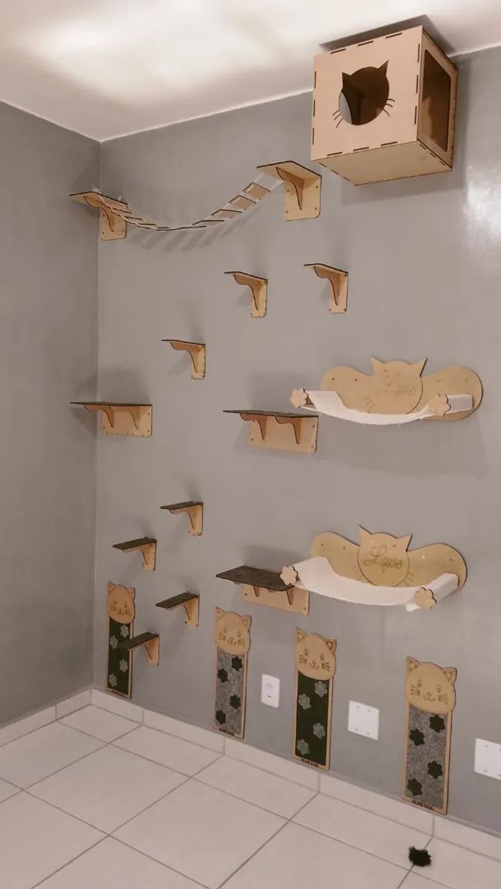 Acessórios para gatos 