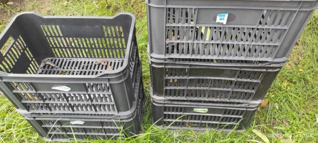 caixas de organizacao de feira